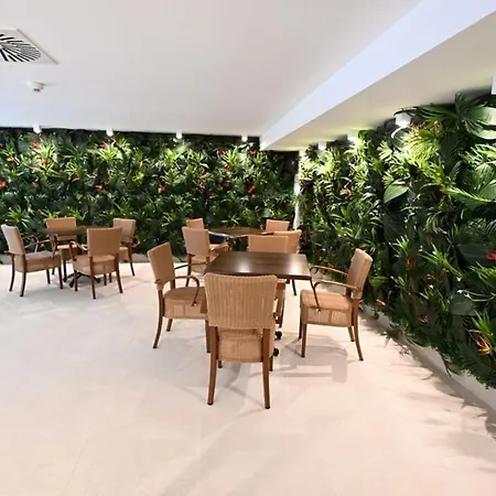 Hotel Tamis & 4*